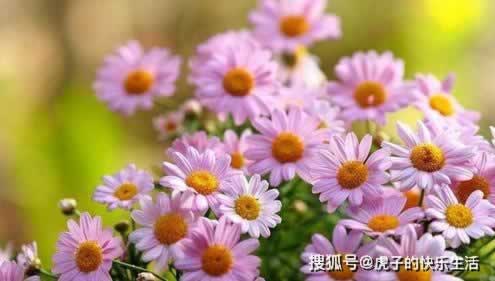 网上网站被黑钱提不出来说我数据异常应该怎么办(图)