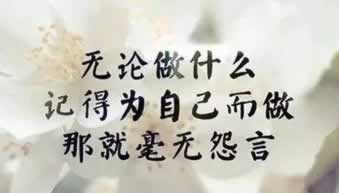 网站显示正在维护中 解决策略(图)